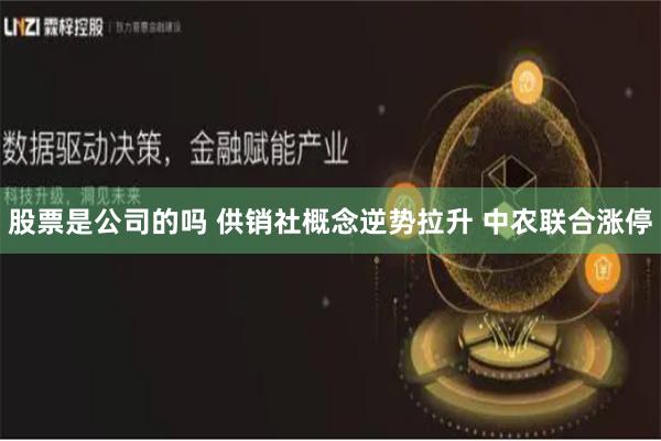 股票是公司的吗 供销社概念逆势拉升 中农联合涨停