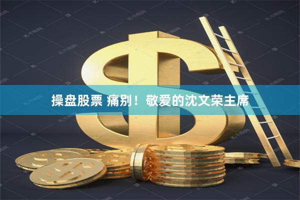操盘股票 痛别！敬爱的沈文荣主席