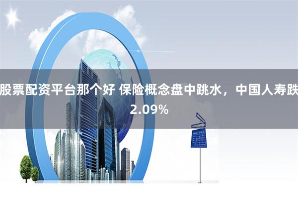 股票配资平台那个好 保险概念盘中跳水，中国人寿跌2.09%