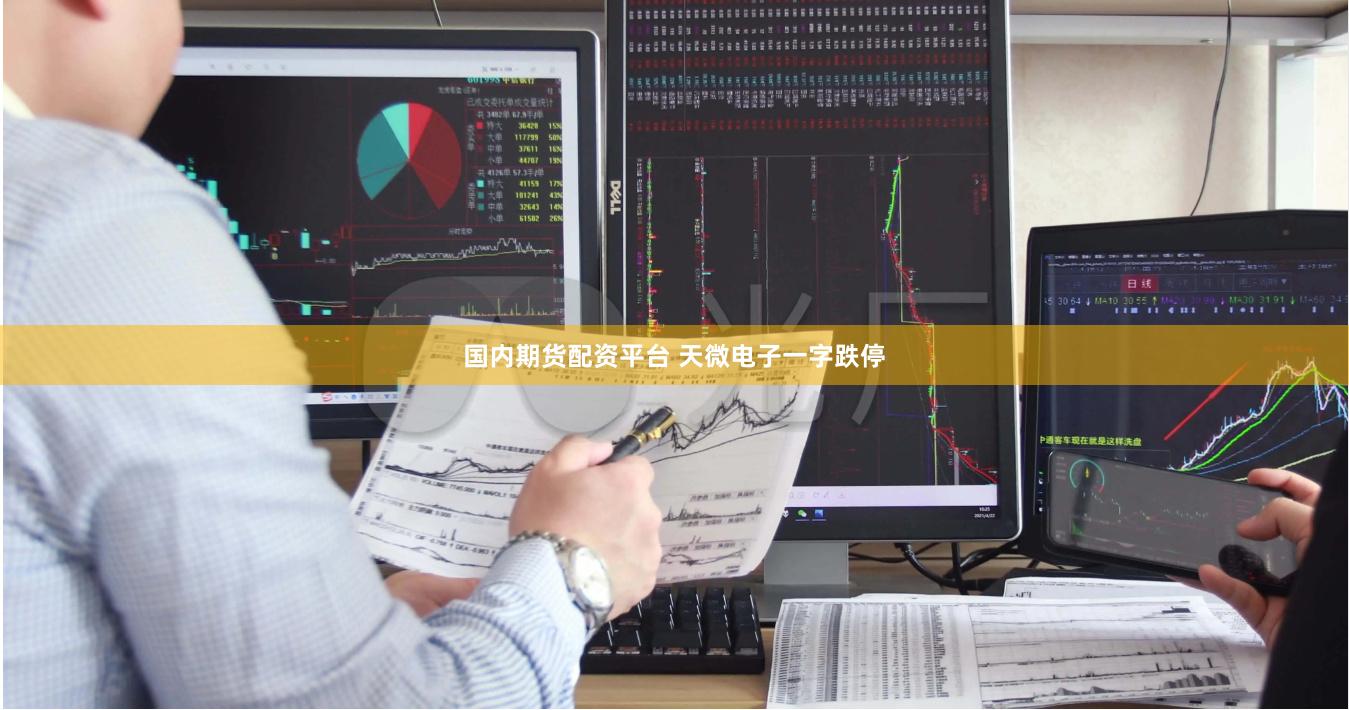 国内期货配资平台 天微电子一字跌停