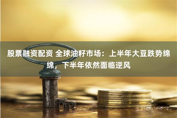 股票融资配资 全球油籽市场：上半年大豆跌势绵绵，下半年依然面临逆风