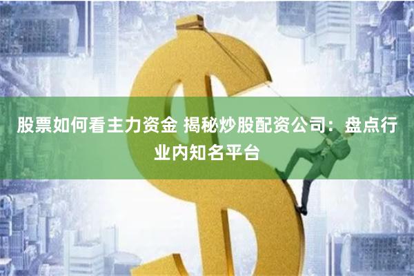 股票如何看主力资金 揭秘炒股配资公司：盘点行业内知名平台