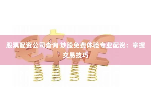 股票配资公司查询 炒股免费体验专业配资：掌握交易技巧